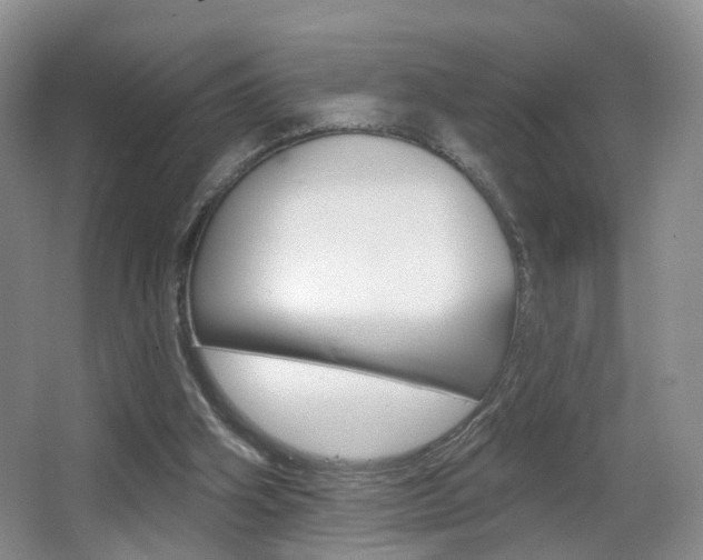 X0000066970106200603241029