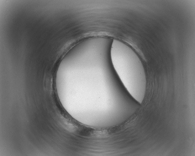 X0000066970110200603241029