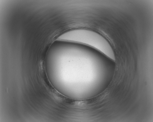 X0000066970117200603241029