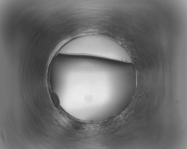 X0000066970147200603241028