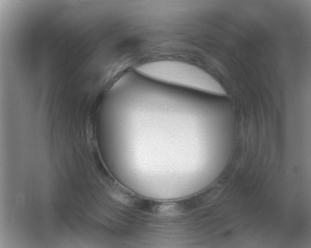 X0000066970173200603241028