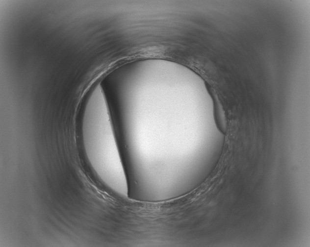X0000066970194200603241028