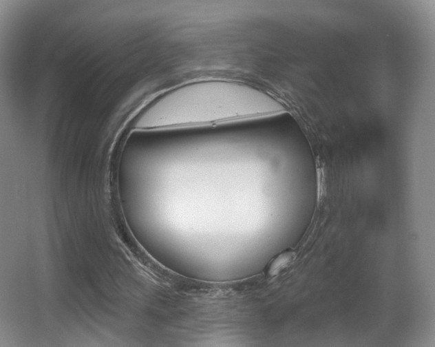 X0000066970243200603241026
