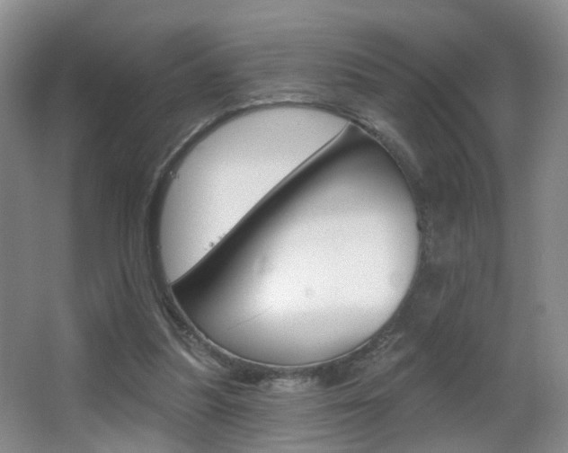 X0000066970251200603241026