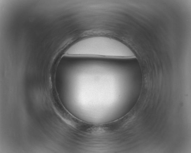 X0000066970254200603241026