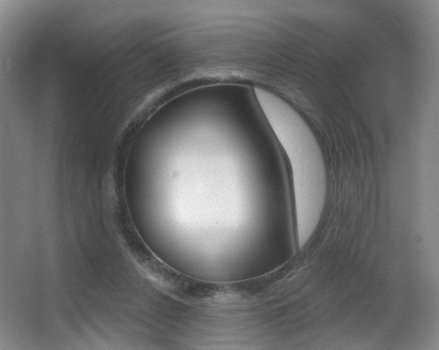X0000066970256200603241026