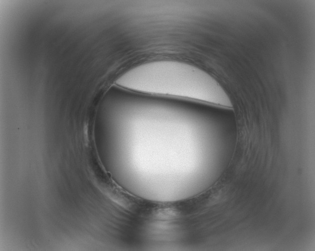 X0000066970262200603241026