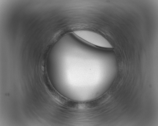 X0000066970264200603241026
