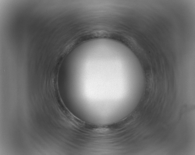 X0000066970266200603241026