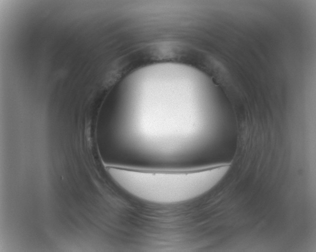 X0000066970267200603241026