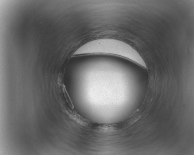 X0000066970284200603241027