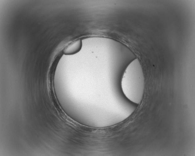 X0000066970294200603241026