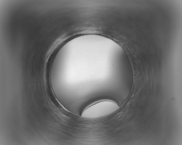 X0000066970296200603241026