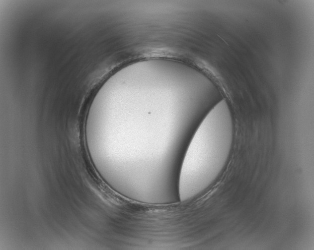 X0000066970298200603241026