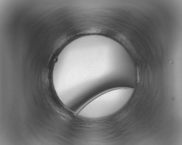 X0000066970300200603241026