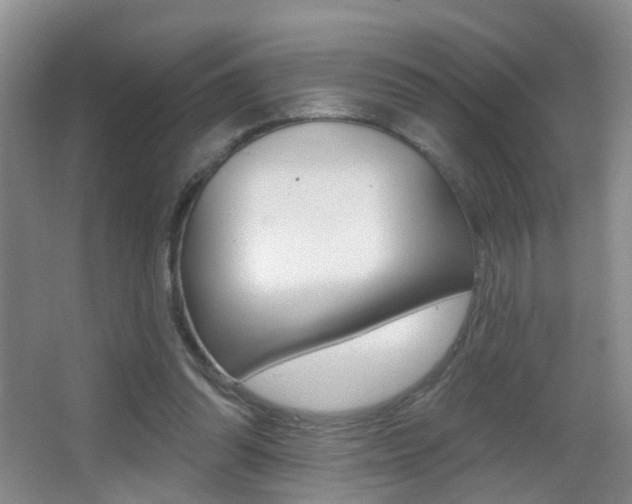 X0000066970302200603241026