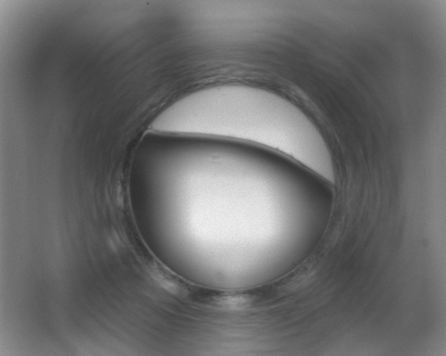 X0000066970313200603241026