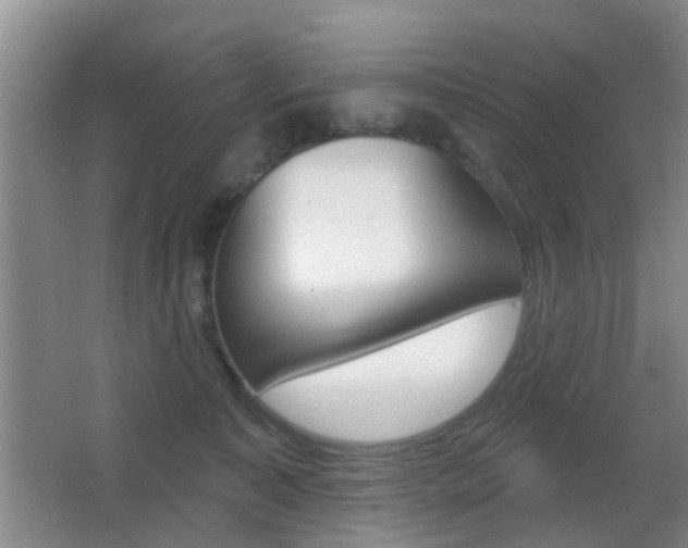 X0000066970323200603241025