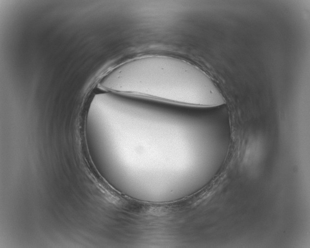 X0000066970341200603241024
