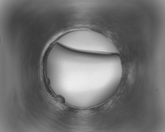 X0000066970342200603241024