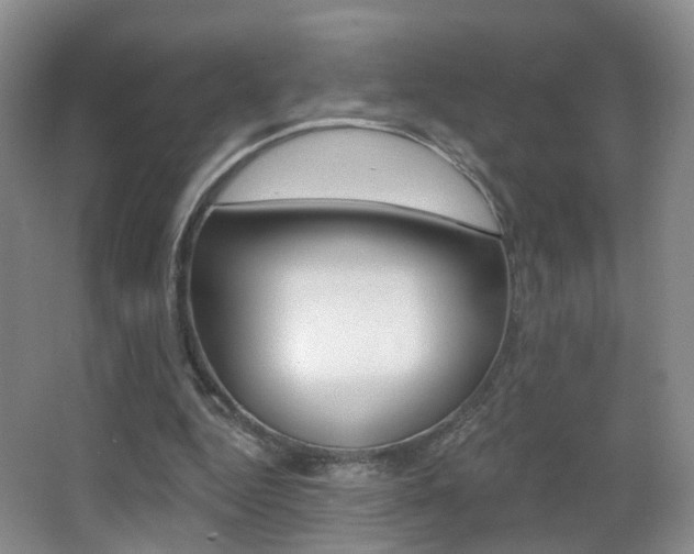 X0000066970344200603241025
