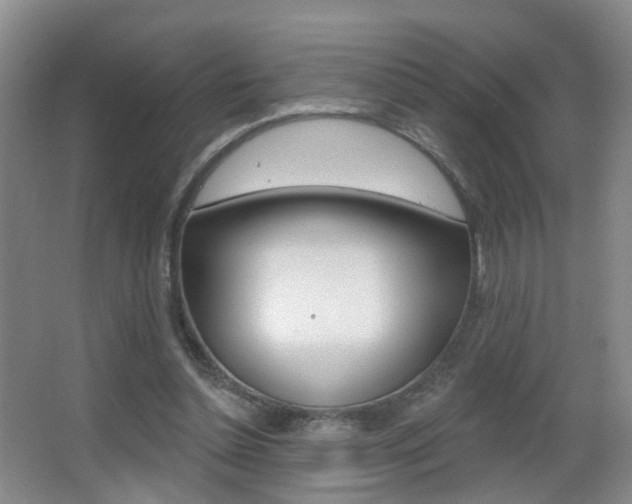 X0000066970348200603241025