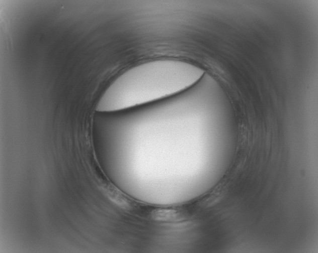 X0000066970361200603241025