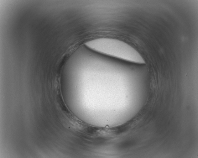 X0000066970367200603241025