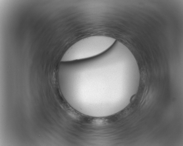 X0000066970375200603241025