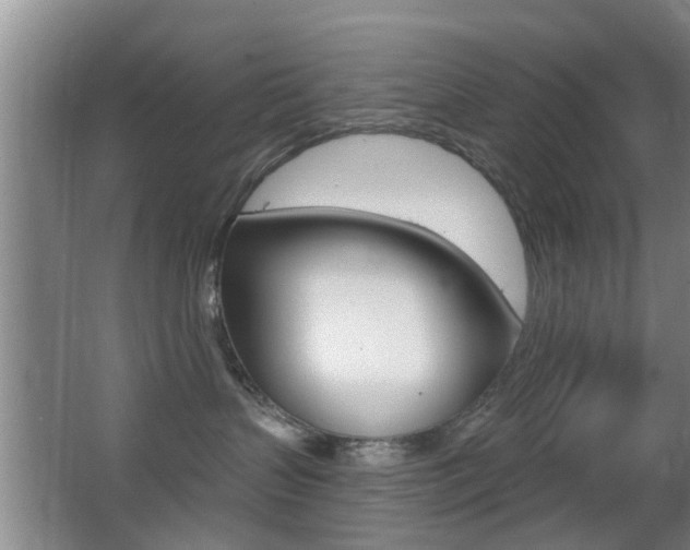 X0000066970383200603241025