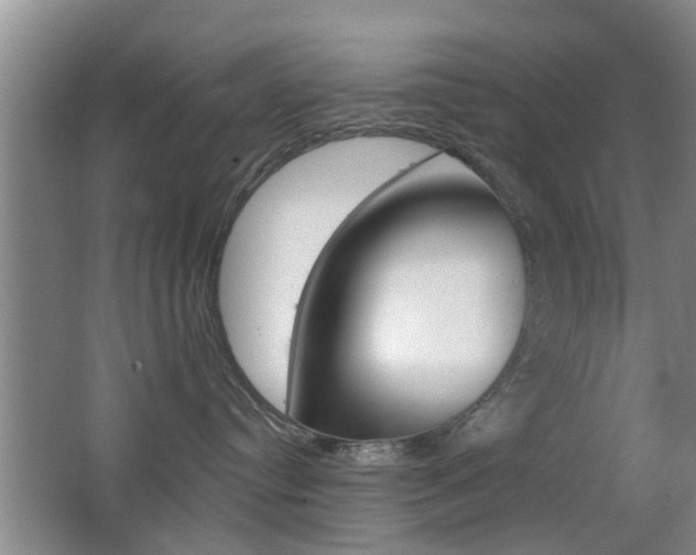 X0000066970384200603241025