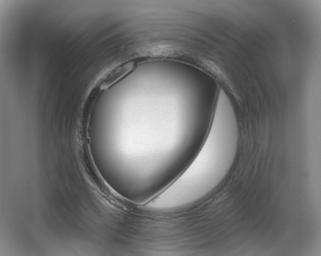 X0000066970392200603241024