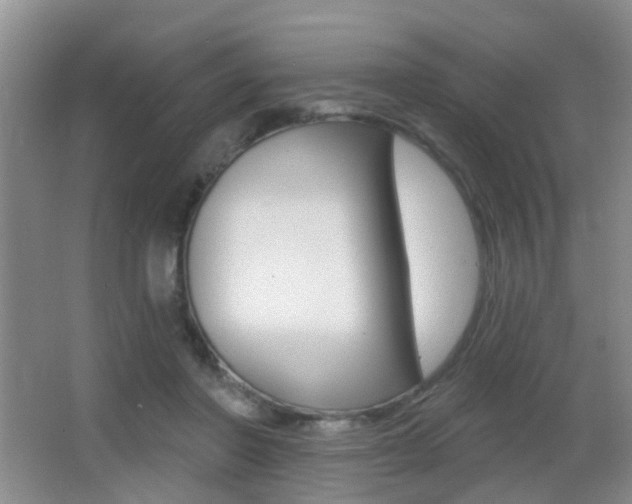 X0000066970406200603241024