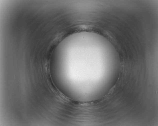 X0000066970423200603241024