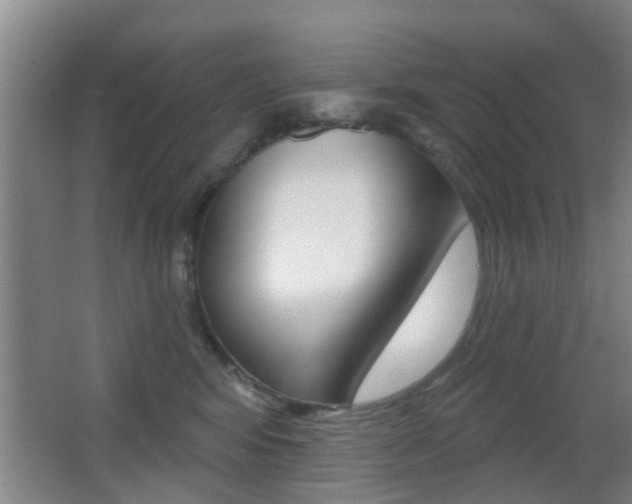 X0000066970424200603241024