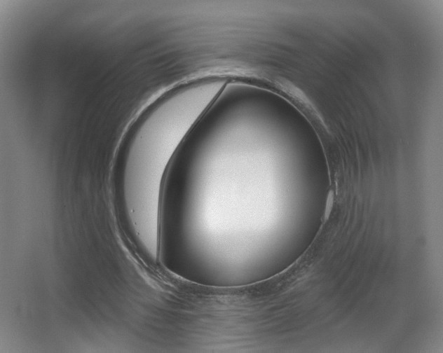 X0000066970436200603241023