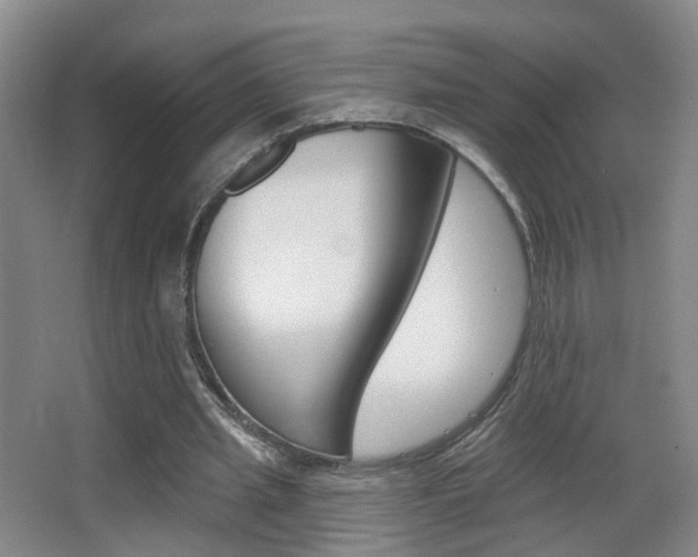 X0000066970437200603241023