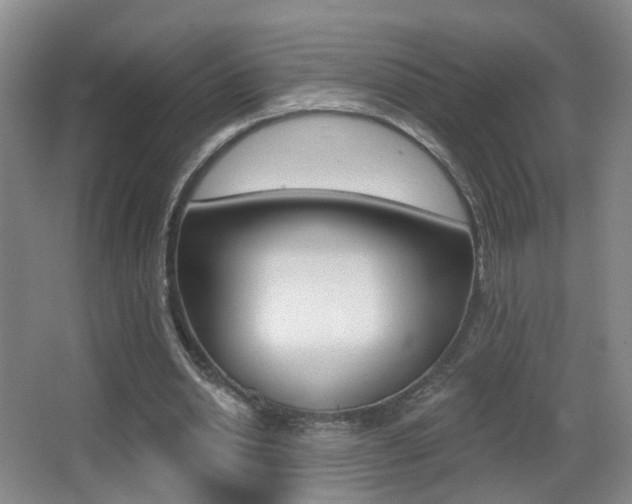 X0000066970438200603241023