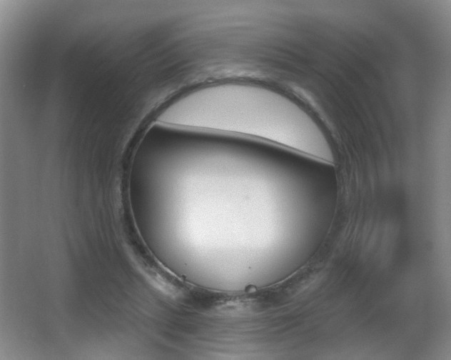 X0000066970447200603241023