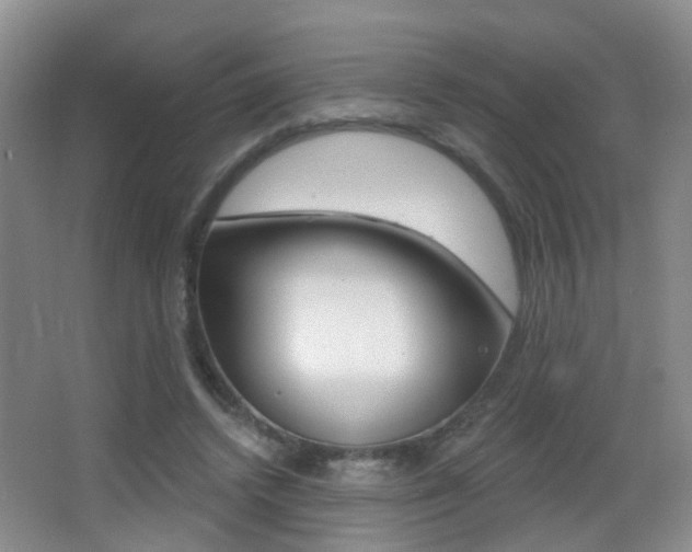 X0000066970448200603241023