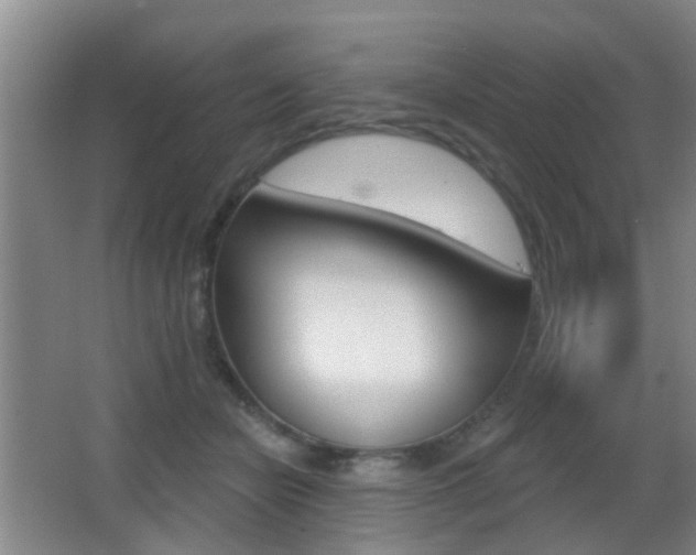 X0000066970462200603241023