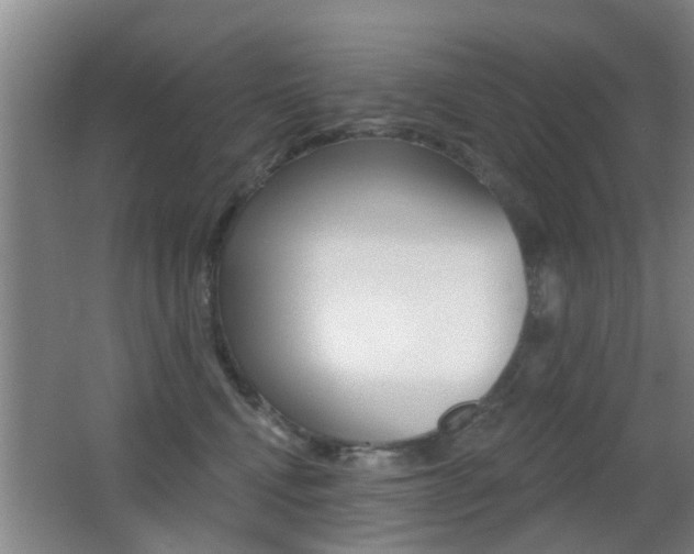 X0000066970472200603241023