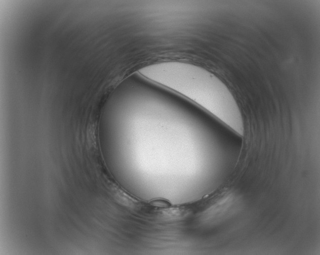 X0000066970473200603241023