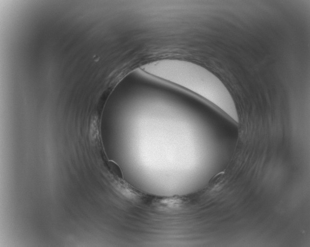 X0000066970478200603241024