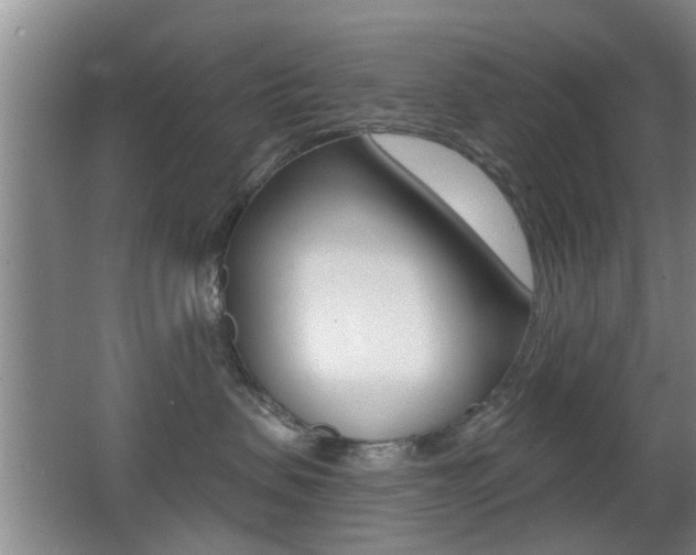 X0000066970479200603241024