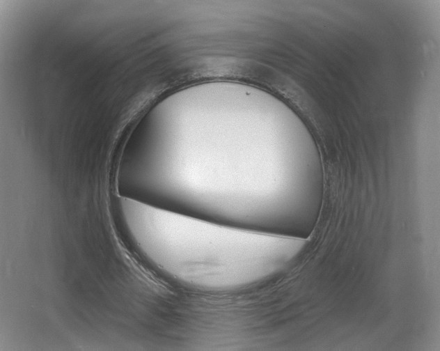 X0000066970482200603241023