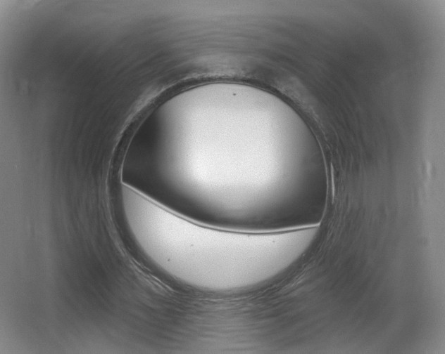 X0000066970483200603241023
