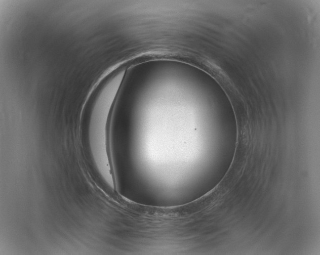 X0000066970484200603241023