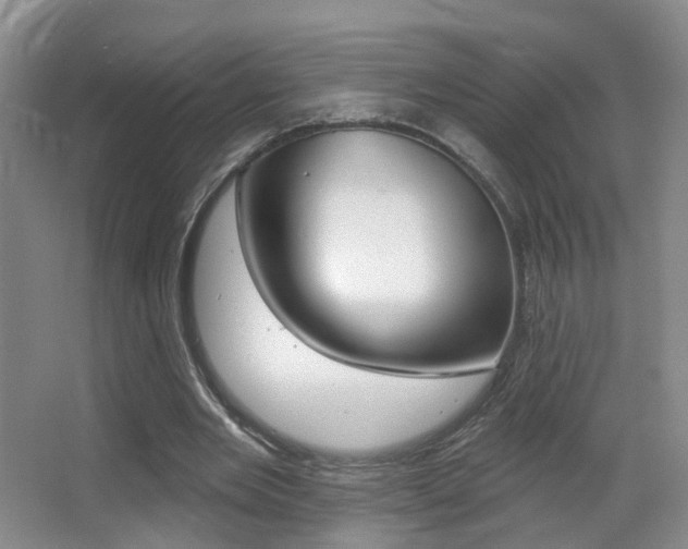 X0000066970485200603241023