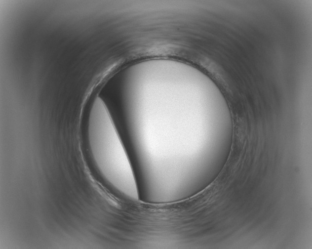 X0000066970486200603241023